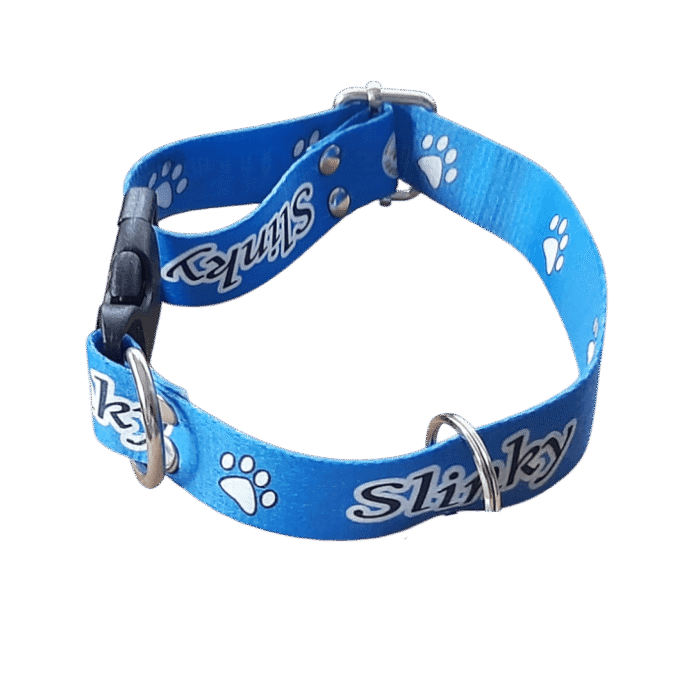 Collar personalizado de 12mm