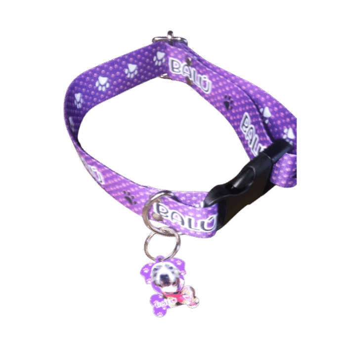 Combo24 Combo collar de 33mm