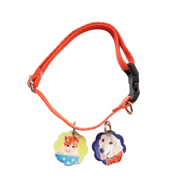 Combo collar básico 12mm