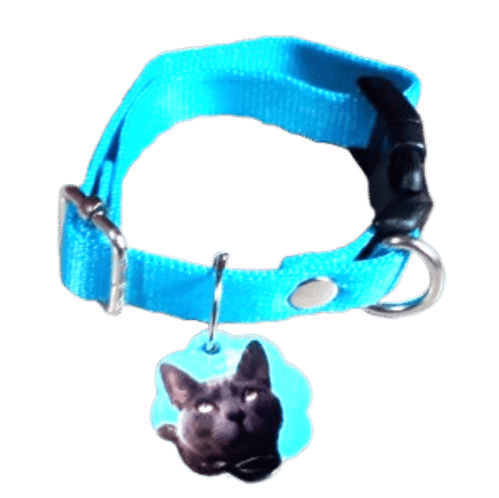 Combo collar básico