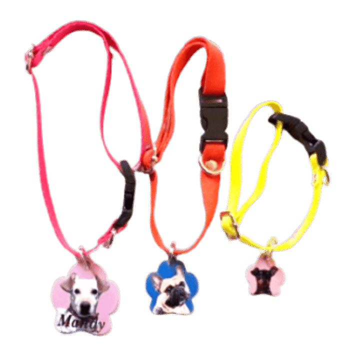 Combo collar básico 12mm